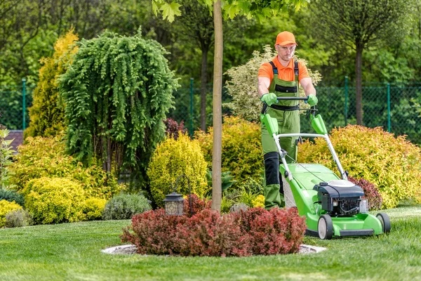 Landscape Maintenance
