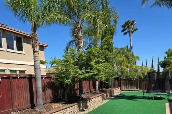 Morros Landscape's Other Services