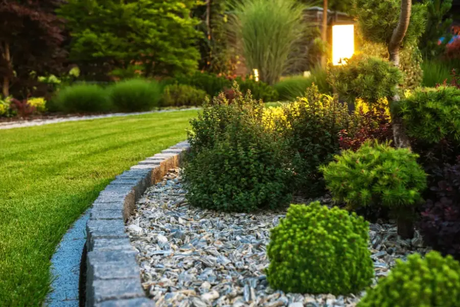 How Professional Landscape Maintenance Saves You Time Antioch CA