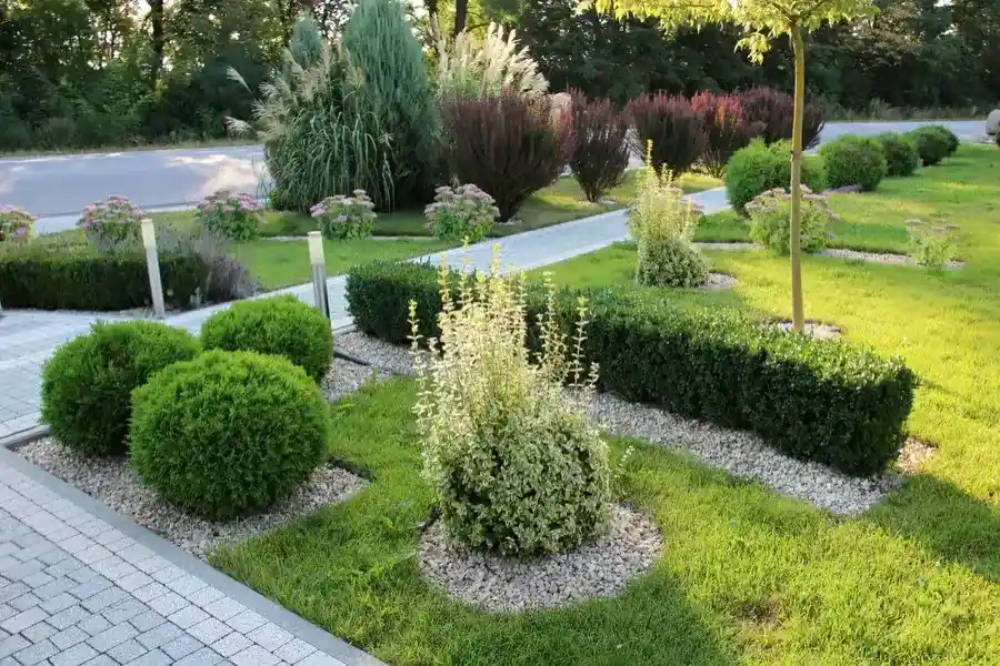 How Professional Landscape Maintenance Saves You Time in Antioch CA