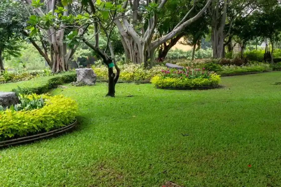 Quality Landscape Maintenance Antioch CA