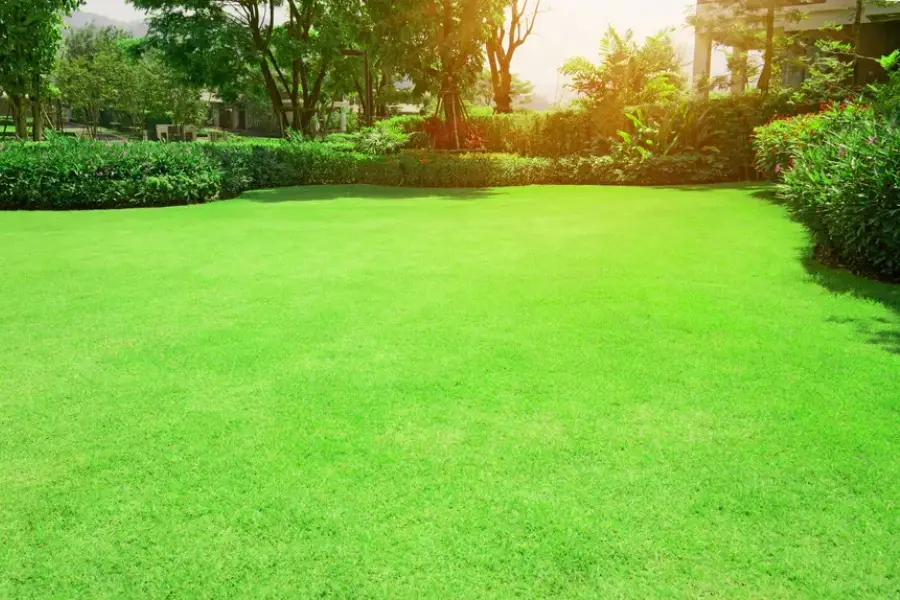 Seasonal Landscape Maintenance Tips For Thriving Gardens Antioch CA