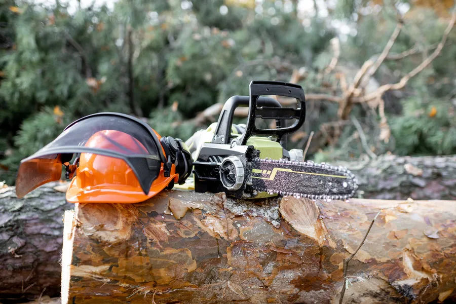 Understanding The Tree Cutting Process For Better Results Antioch CA